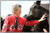 grandin