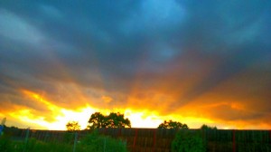 sunset